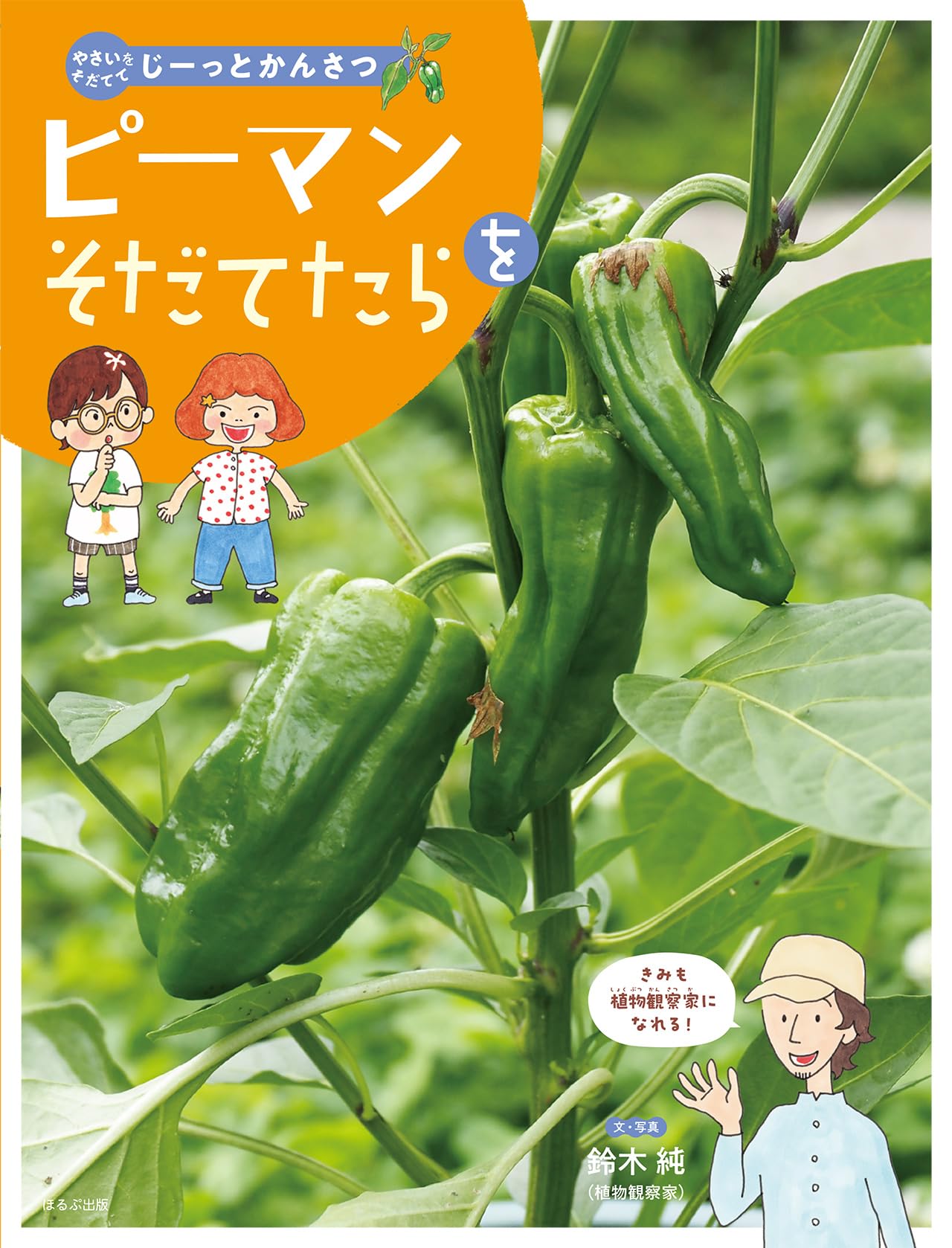 ピーマンをそだてたら (やさいをそだててじーっとかんさつ) | 鈴木純